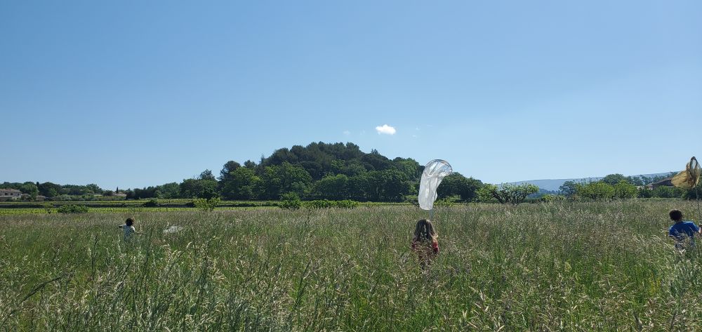 Stage jeunes naturalistes à Oppède © Adèle Reynier
