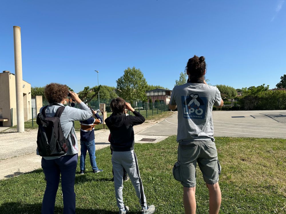 Stage jeunes naturalistes Oppède © Anaëlle Francia