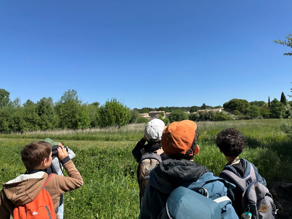 Stage jeunes naturalistes à Oppède © Anaëlle Francia