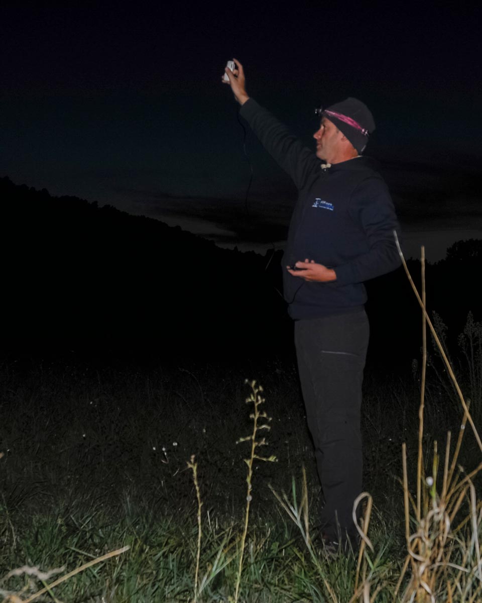 Suivi nocturne de la Chevêche d'Athéna © LPO PACA