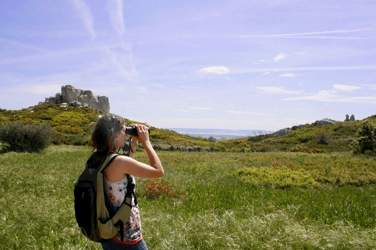 Suivi naturaliste Garrigues de Lançon © LPO PACA