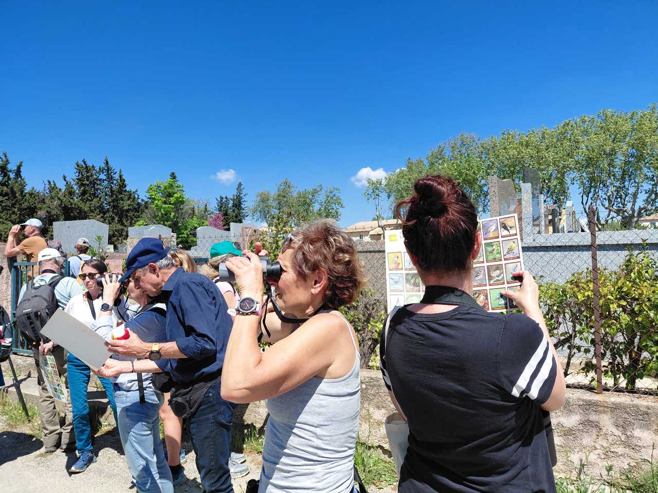 Travail d'identification sur le terrain