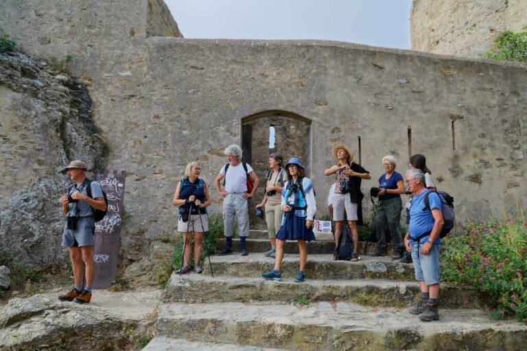 Une sortie naturaliste sur l'Île de Porquerolles © Groupe local LPO Hyères Les Maures Une sortie naturaliste sur l'Île de Porquerolles © Groupe local LPO Hyères Les Maures