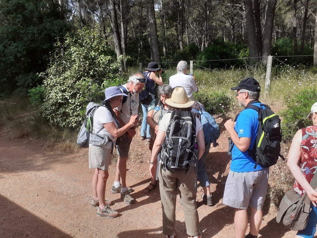 Une sortie au Domaine de Fabrégas © Groupe local LPO Hyères Les Maures Une sortie au Domaine de Fabrégas © Groupe local LPO Hyères Les Maures