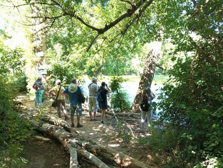 Une sortie au Plan du Pont © Groupe local LPO Hyères Les Maures Une sortie au Plan du Pont © Groupe local LPO Hyères Les Maures