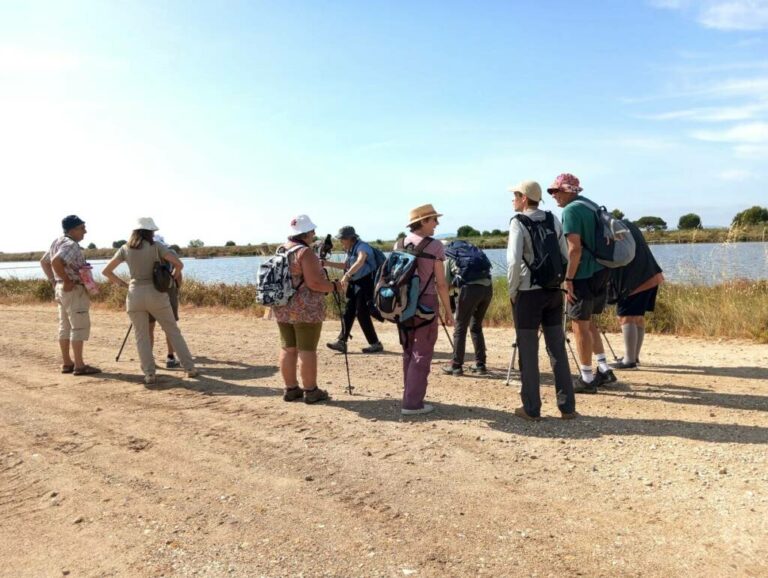 Une sortie aux Vieux Salins © Groupe local LPO Hyères Les Maures Une sortie aux Vieux Salins © Groupe local LPO Hyères Les Maures