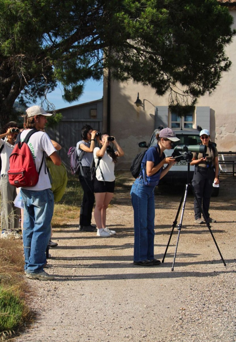Les membres du groupe des jeunes du Var en observation © LPO PACA - Marie Boetti