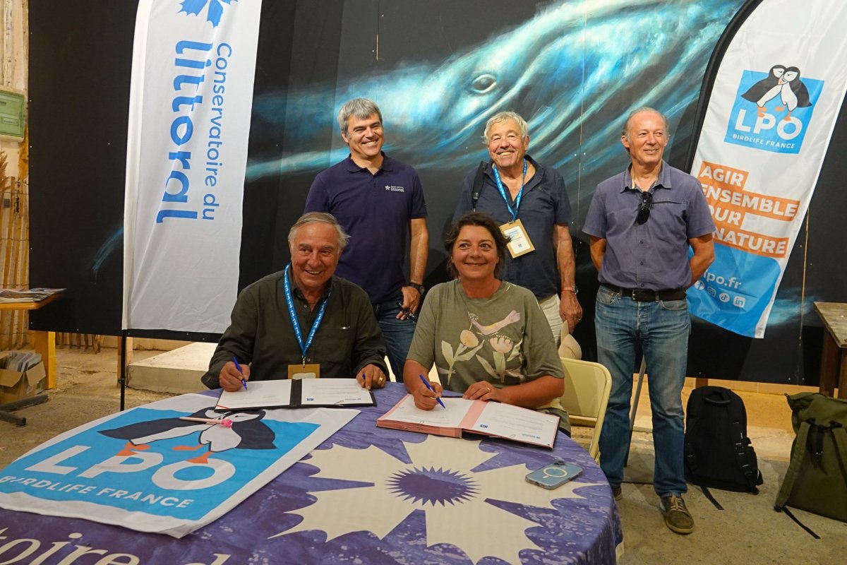 La signature d'une convention entre la LPO et le Conservatoire du littoral, à la Réserve Naturelle des Marais du Vigueirat © LPO PACA - Anaëlle Francia La signature d'une convention entre la LPO et le Conservatoire du littoral, à la Réserve Naturelle des Marais du Vigueirat © LPO PACA - Anaëlle Francia