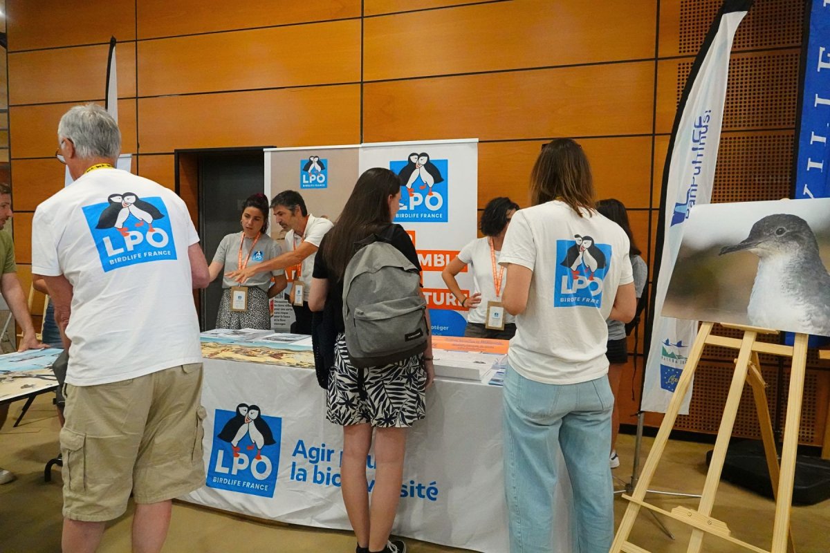Les stands de la LPO PACA au Congrès national de la LPO à Marseille © LPO PACA - Anaëlle Francia Les stands de la LPO PACA au Congrès national de la LPO à Marseille © LPO PACA - Anaëlle Francia