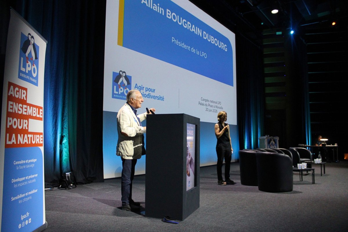 Allain Bougrain Dubourg, président de la LPO, avec Wendy Bouchard, présentatrice, au Congrès national de la LPO 2026 à Marseille © LPO PACA - Marie Boetti Allain Bougrain Dubourg, président de la LPO, avec Wendy Bouchard, présentatrice, au Congrès national de la LPO 2026 à Marseille © LPO PACA - Marie Boetti