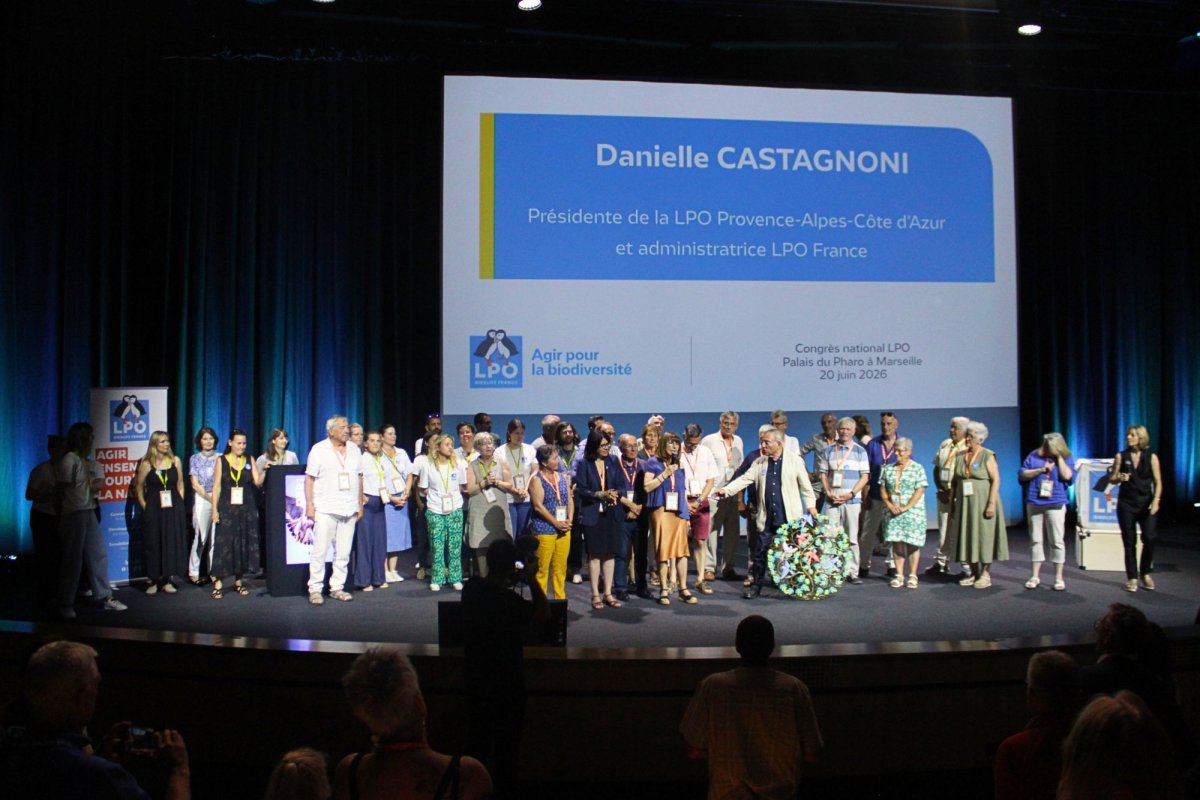 Fin du Congrès national de la LPO 2026 à Marseille © LPO PACA - Marie Boetti Fin du Congrès national de la LPO 2026 à Marseille © LPO PACA - Marie Boetti
