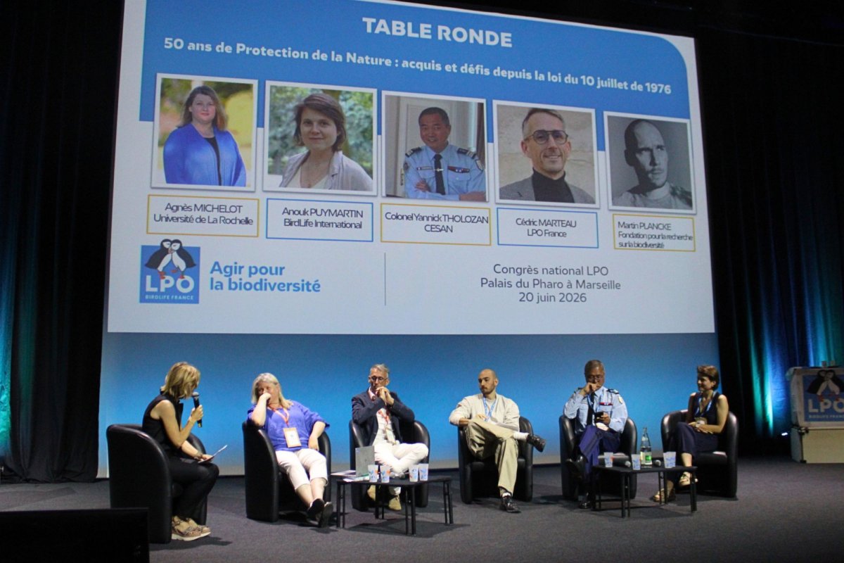 La table ronde du Congrès national de la LPO 2026 à Marseille © LPO PACA - Marie Boetti La table ronde du Congrès national de la LPO 2026 à Marseille © LPO PACA - Marie Boetti