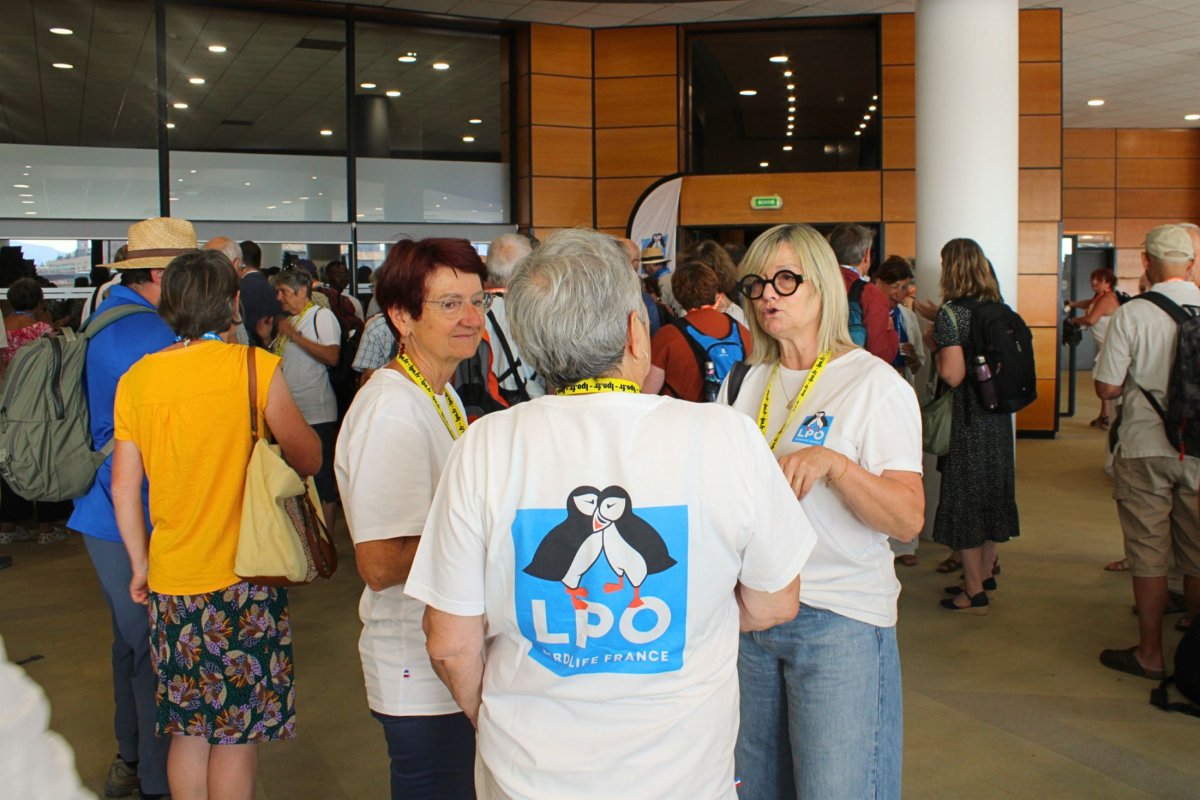 Des bénévoles de la LPO PACA au Congrès national de la LPO 2026 à Marseille © LPO PACA - Marie Boetti Des bénévoles de la LPO PACA au Congrès national de la LPO 2026 à Marseille © LPO PACA - Marie Boetti