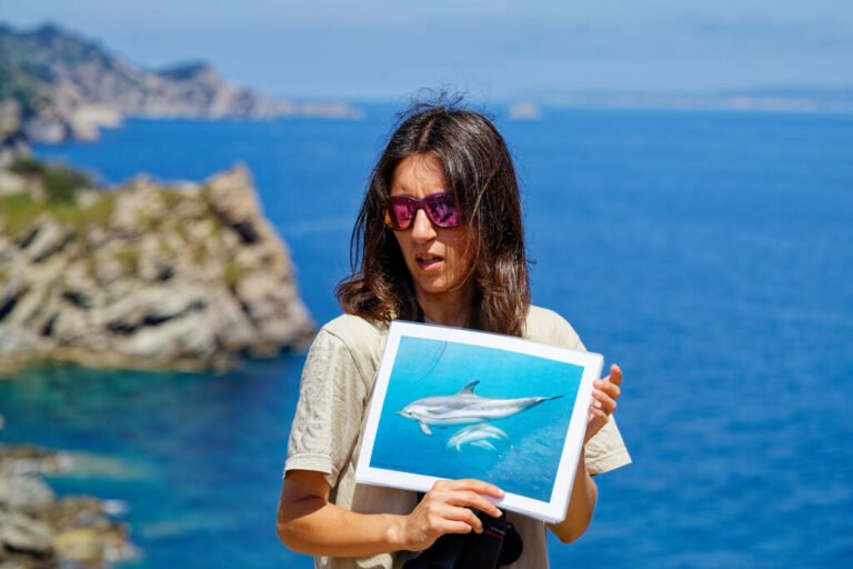 Une sortie naturaliste sur l'Île de Porquerolles © Groupe local LPO Hyères Les Maures Une sortie naturaliste sur l'Île de Porquerolles © Groupe local LPO Hyères Les Maures