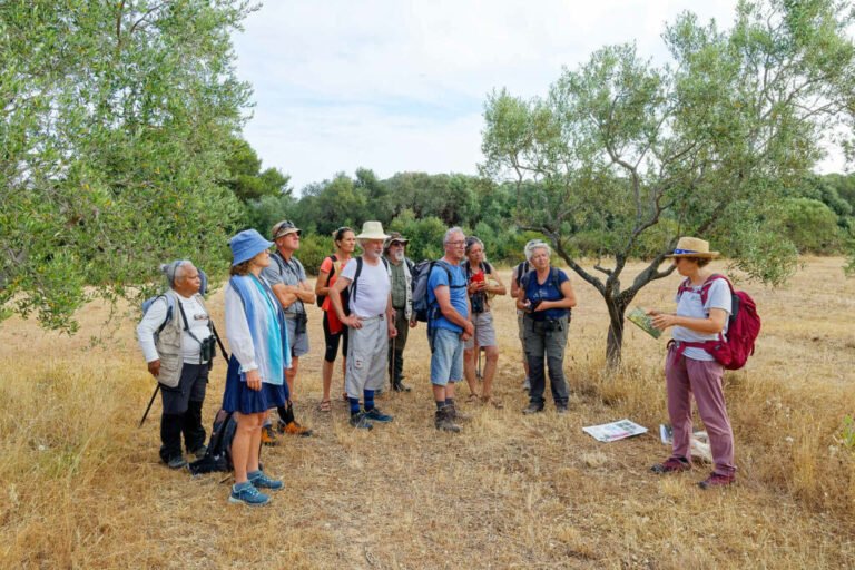 Une sortie naturaliste sur l'Île de Porquerolles © Groupe local LPO Hyères Les Maures Une sortie naturaliste sur l'Île de Porquerolles © Groupe local LPO Hyères Les Maures