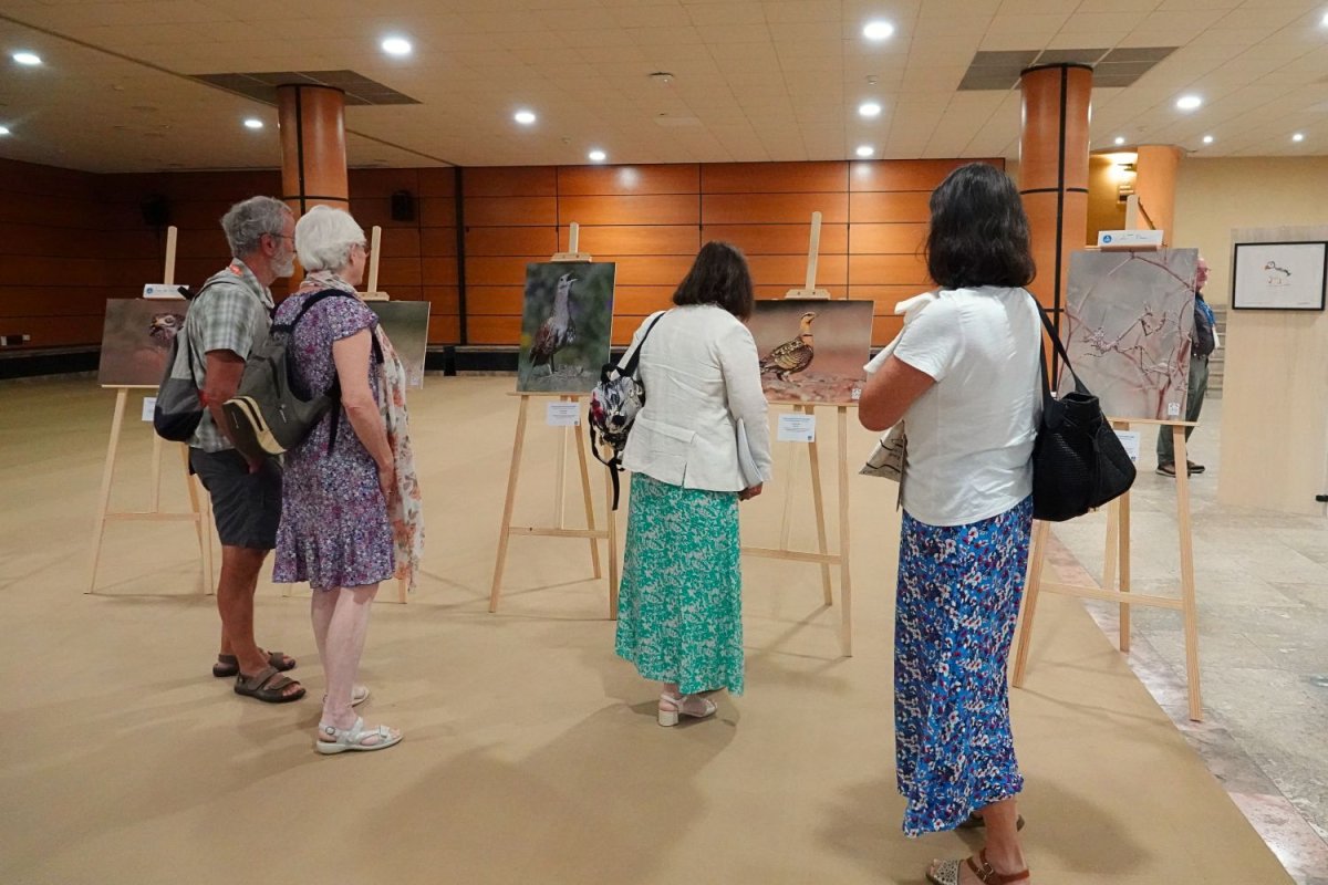 L'exposition des photos finalistes du concours de la LPO PACA 2026 © LPO PACA - Anaëlle Francia L'exposition des photos finalistes du concours de la LPO PACA 2026 © LPO PACA - Anaëlle Francia