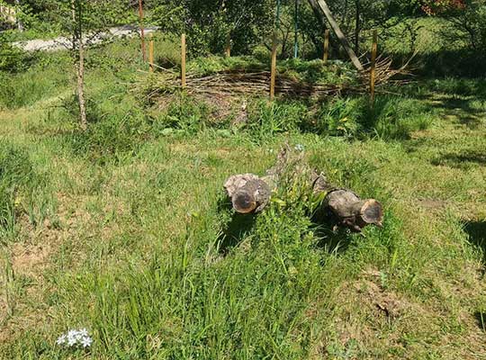 Exemple de jardin en gestion différenciée, propre et vivant © Aucun(e) - Cécile Boule - Groupe Local Ventoux LPO PACA
