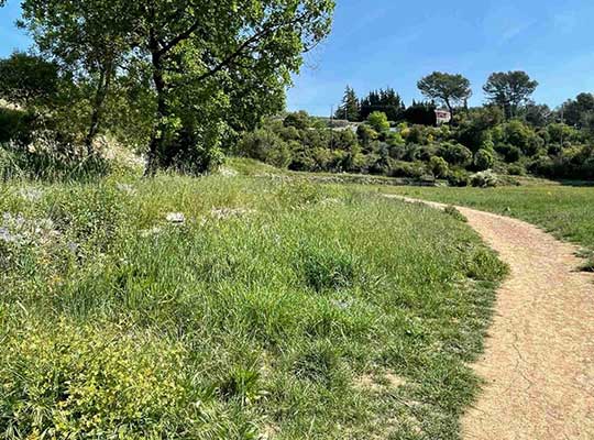 sainte brabe draguignan
