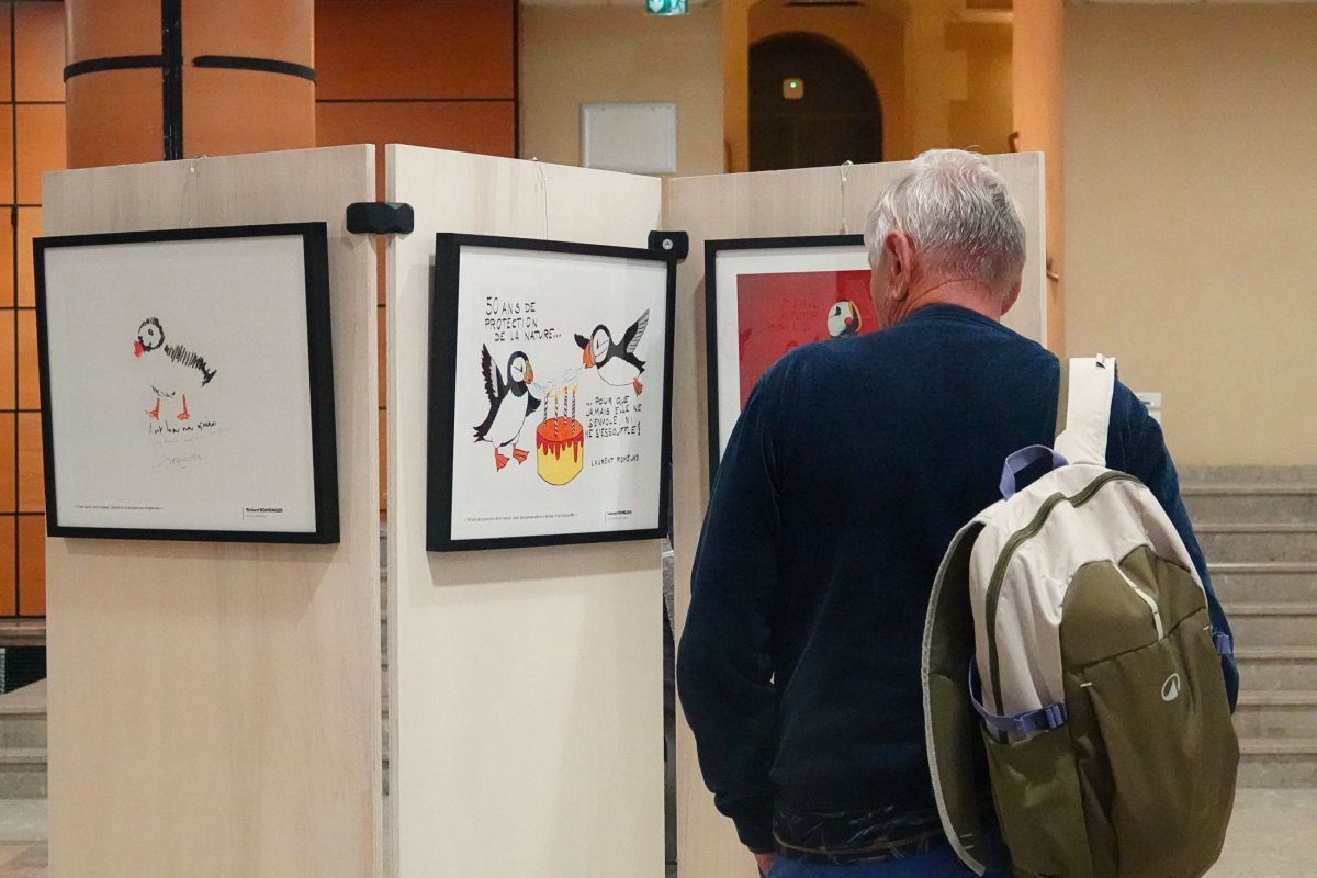 L'exposition lors du Congrès national de la LPO à Marseille © LPO PACA - Anaëlle Francia