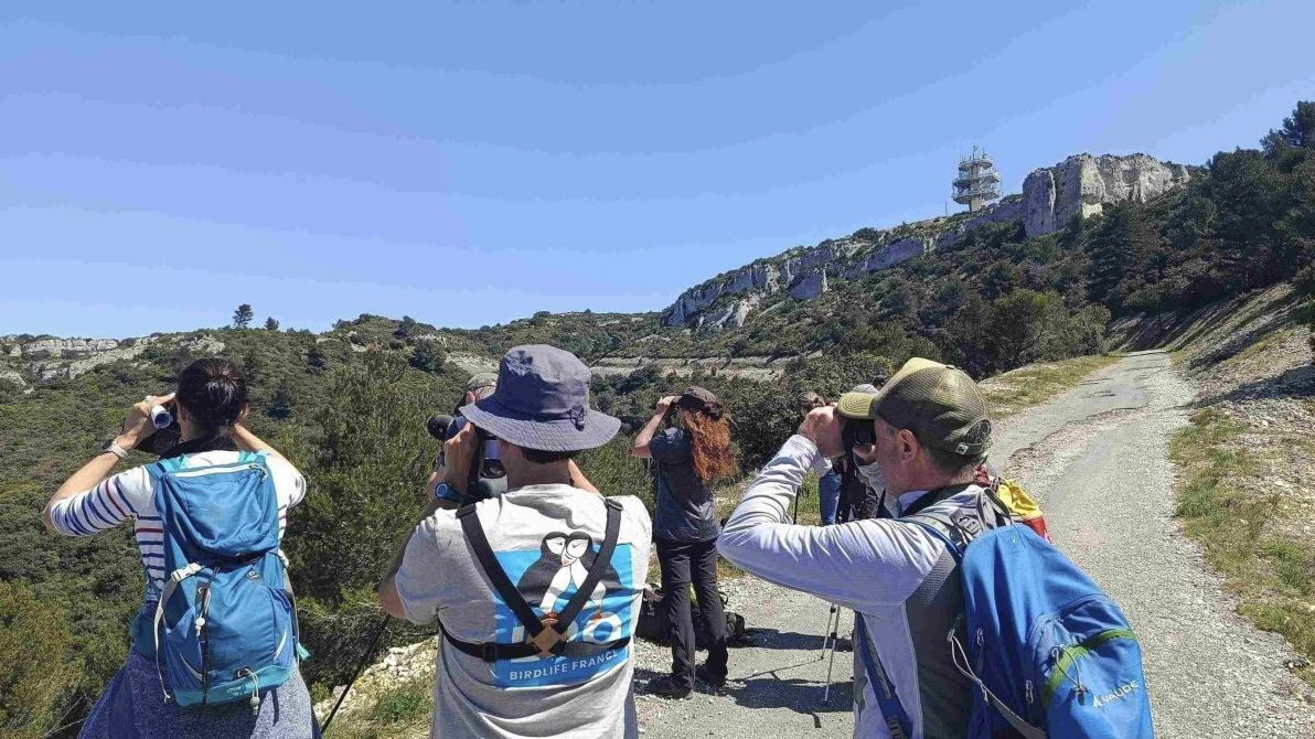 Formation sur les rapaces diurnes © LPO PACA