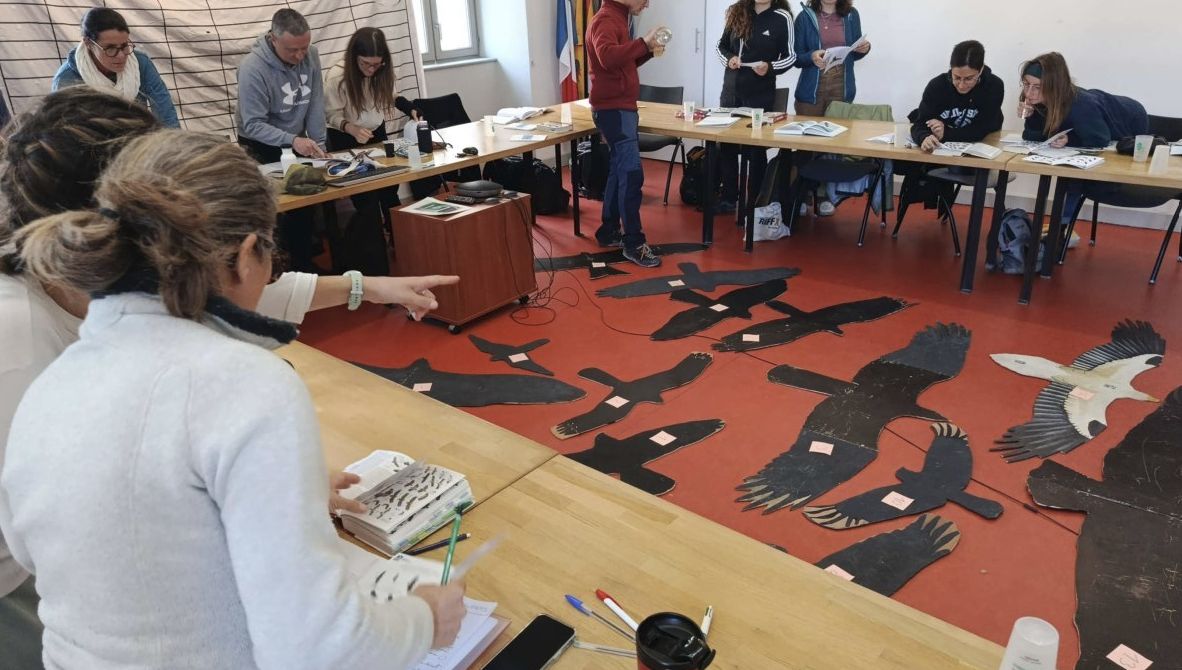 Formation sur les rapaces diurnes © LPO PACA Formation sur les rapaces diurnes © LPO PACA