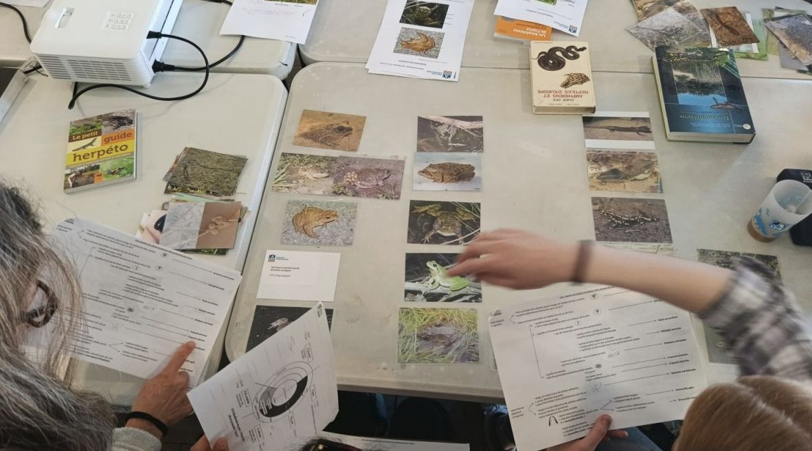 Formation amphibiens © LPO PACA Formation amphibiens © LPO PACA