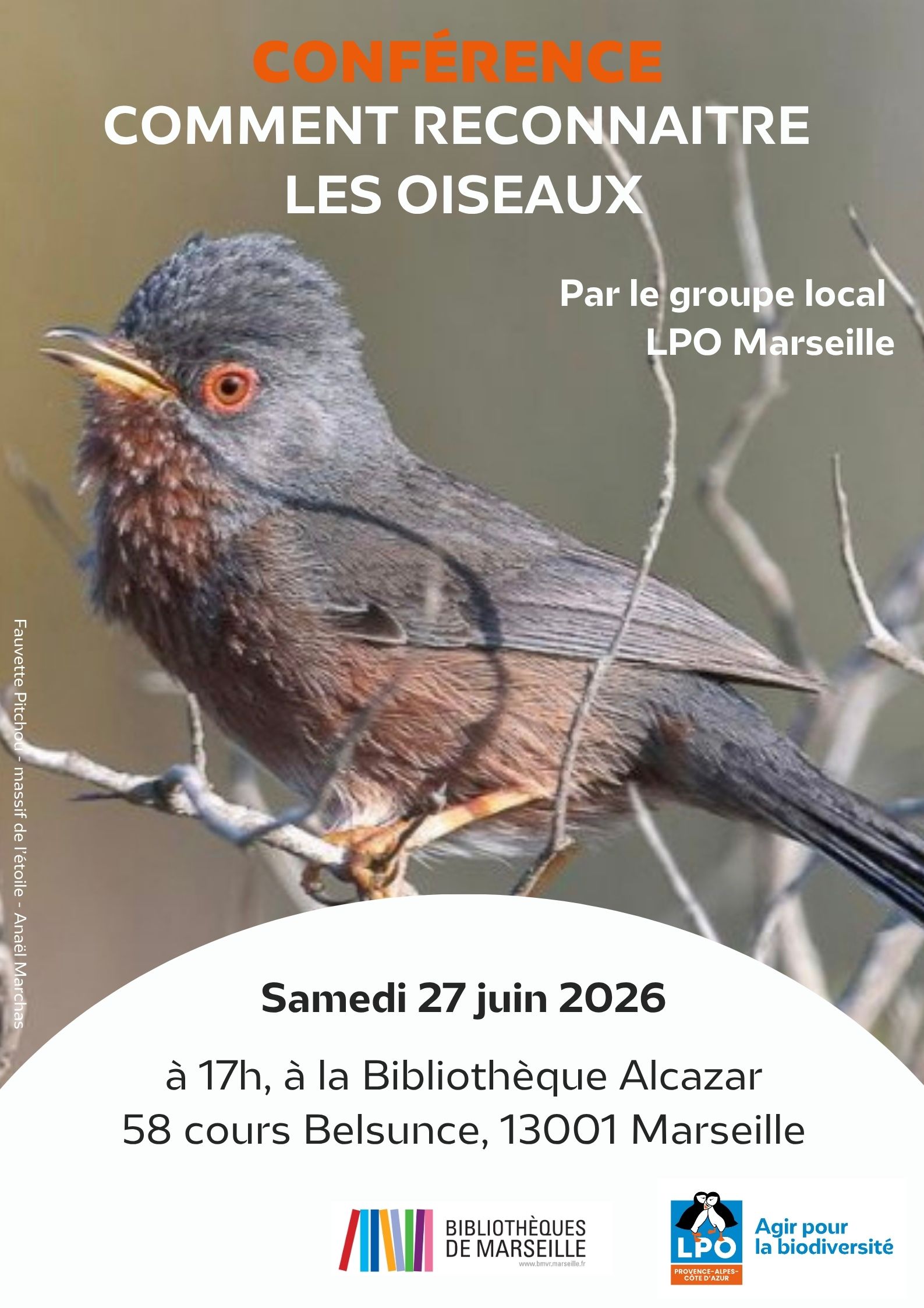Conférence comment reconnaitre les oiseaux
