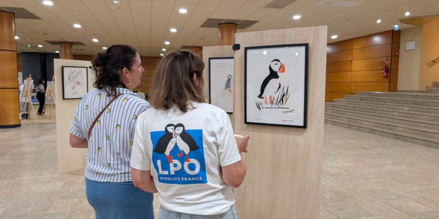 L'exposition « Des macareux par milliers » présentée en avant-première aux adhérents LPO lors du Congrès de la LPO à Marseille le 20 juin 2026 © LPO France