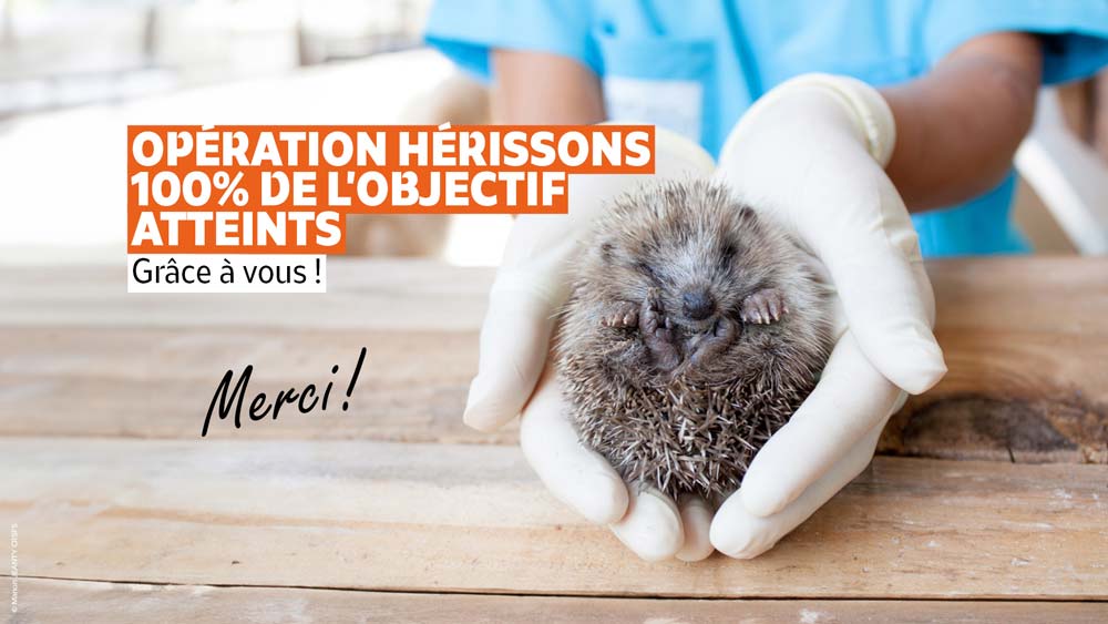 Grâce à vous, le projet a pu voir le jour. Merci !