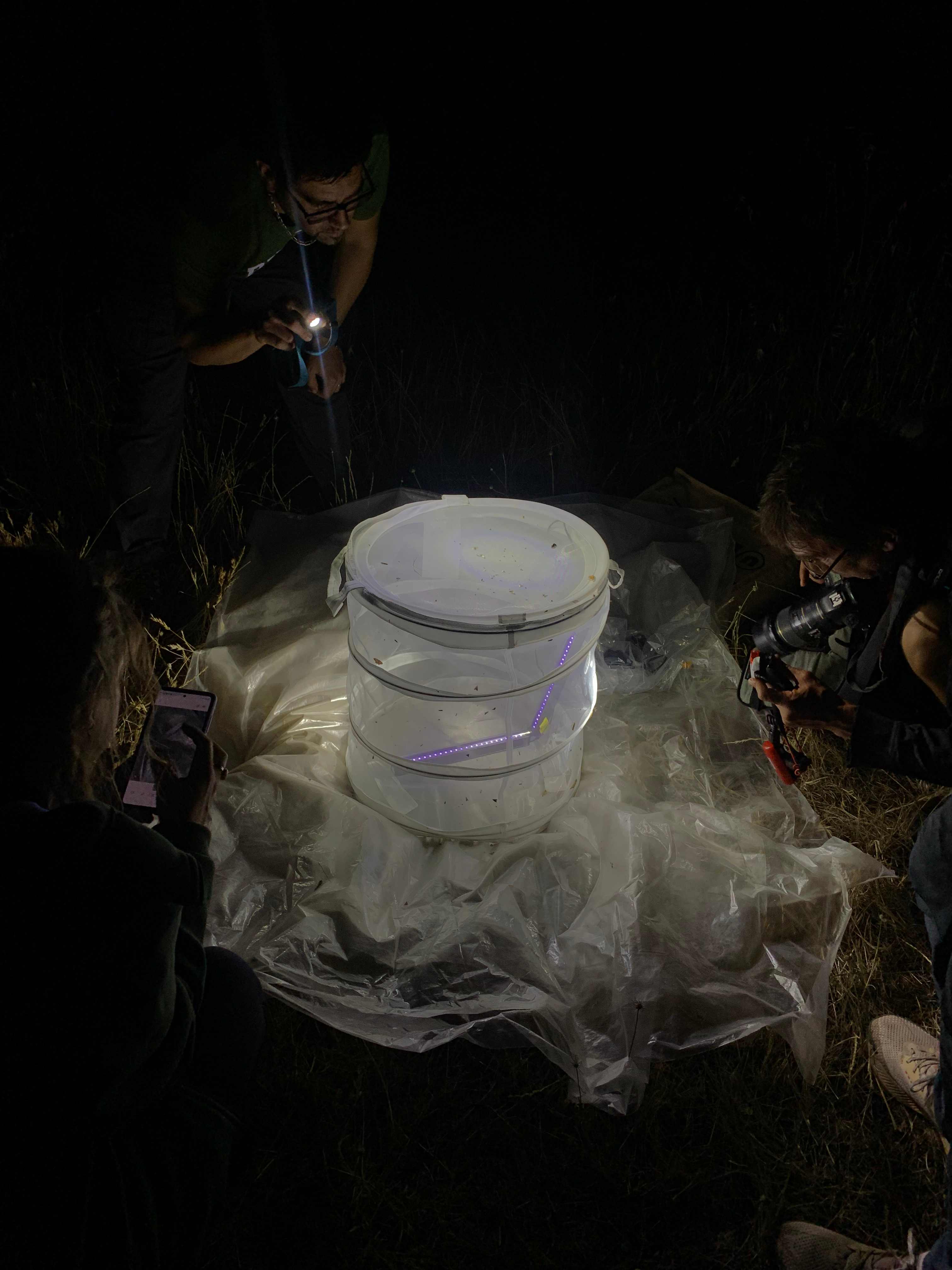 inventaire nocturnes des hétérocères à l'aide d'un piège lumineux © Leslie Bonneront