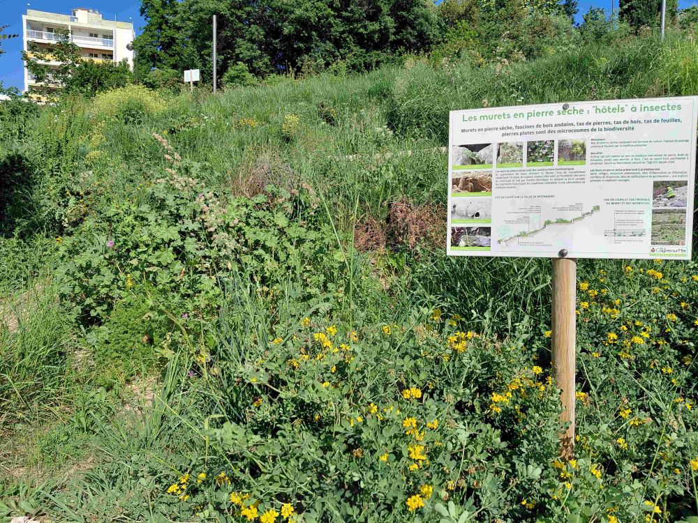 jardin papillon reduit