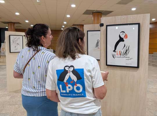 L'exposition « Des macareux par milliers » présentée en avant-première aux adhérents LPO lors du Congrès de la LPO à Marseille le 20 juin 2026 © LPO France