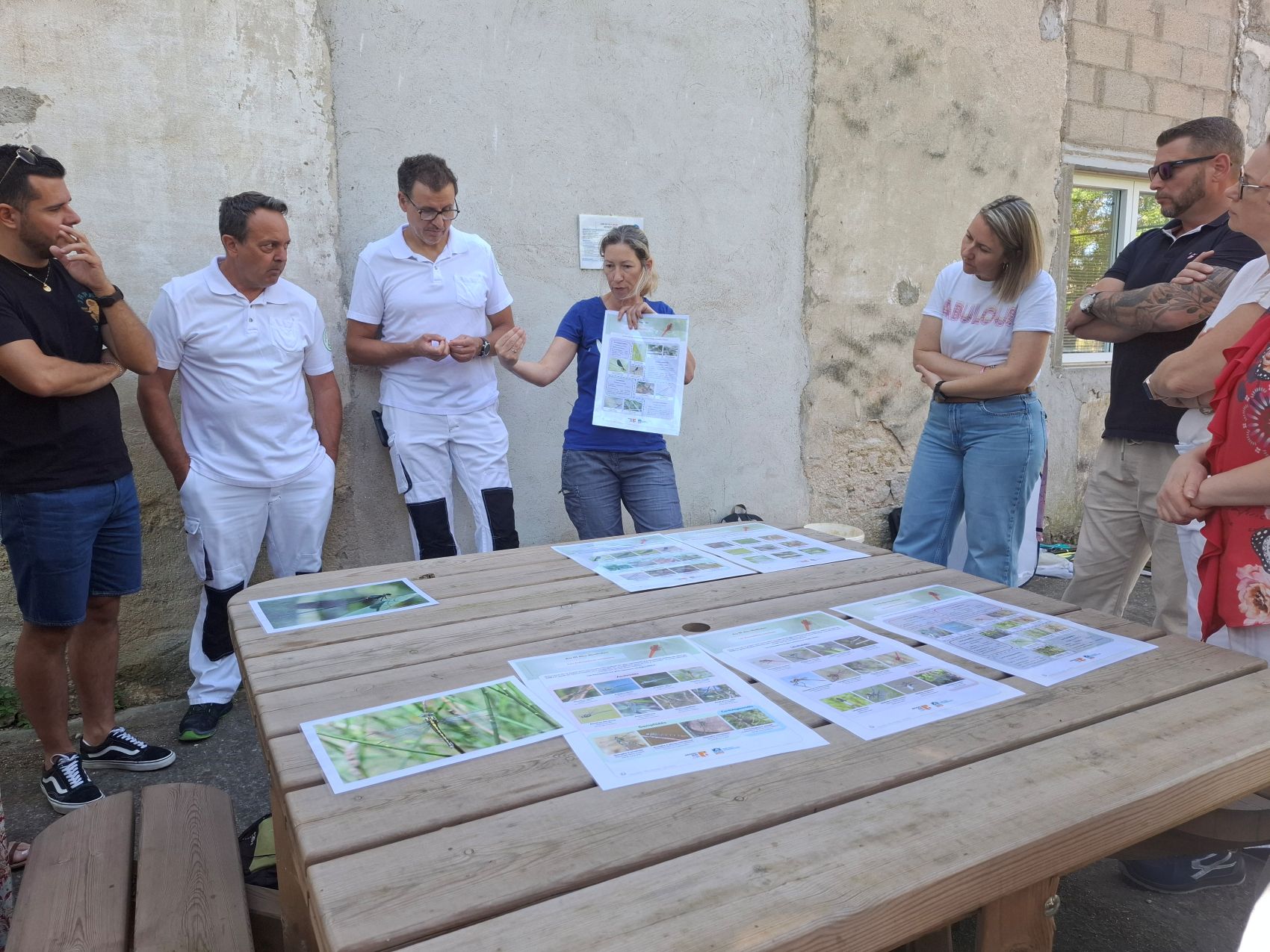 Les salariés de Mayoly à la découverte des libellules sur leur Refuge LPO à l'Isle-sur-la-Sorgue (84) Les salariés de Mayoly à la découverte des libellules sur leur Refuge LPO à l'Isle-sur-la-Sorgue (84)