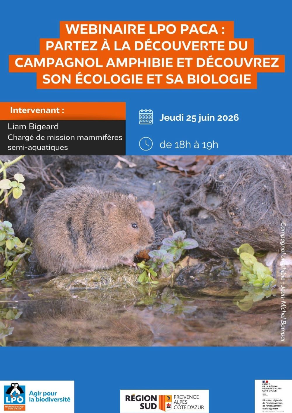Webinaire LPO PACA - Campagnol amphibie