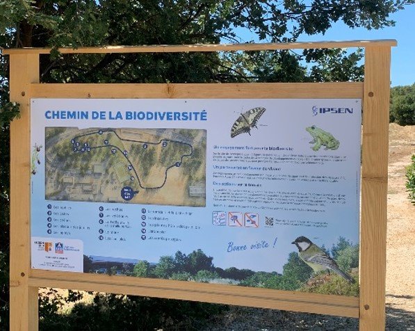 Au Fil Des Libellules IPSEN
