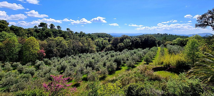 Le Domaine de la Baume, dans le Var © Marion Fouchard
