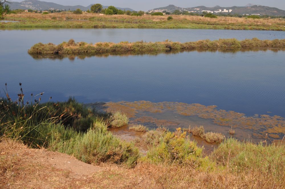 Hyeres salins ceser © Ivan COSTE-MANIERE