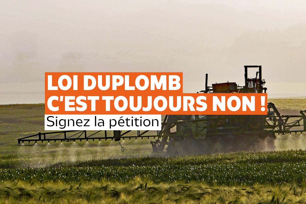 Loi Duplomb c'est toujours NON !