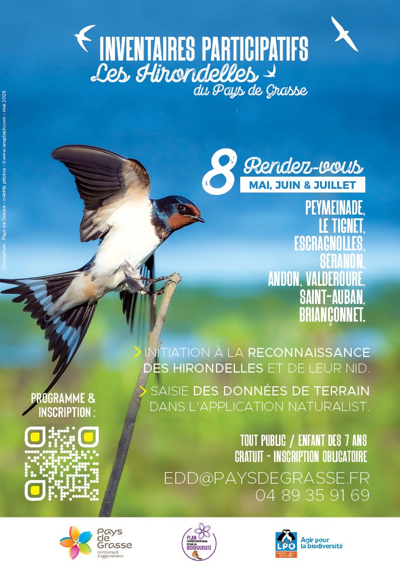 Affiche inventaires hirondelles CAPG 2026