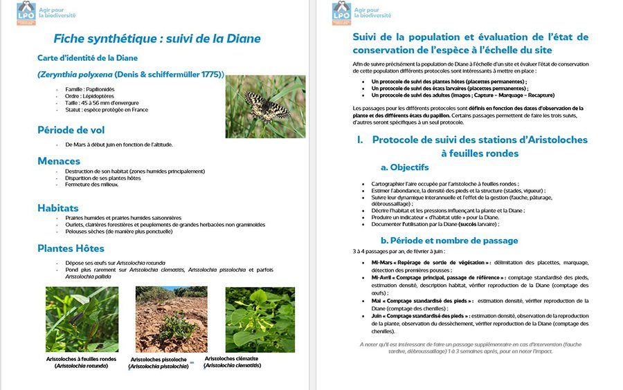 Fiche technique de suivi (c) Marion Fouchard