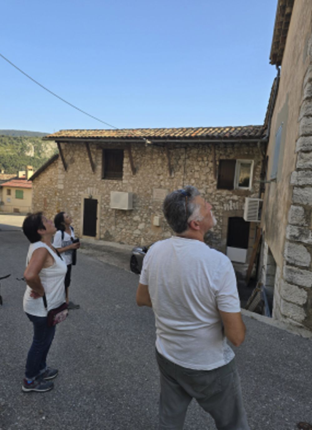 Recherche des nids à Valderoure © LPO PACA