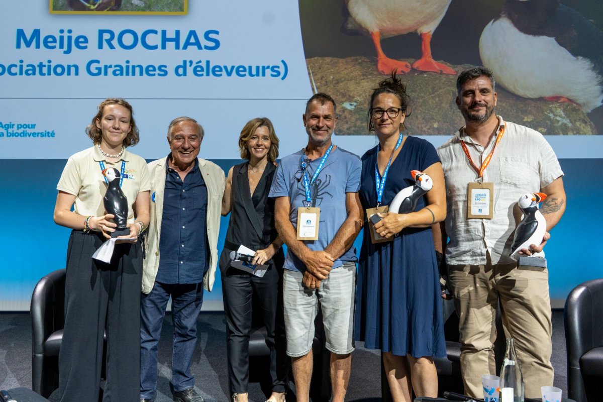 Les lauréats des Macareux d'Or © LPO - Julien Bonnet Les lauréats des Macareux d'Or © LPO - Julien Bonnet