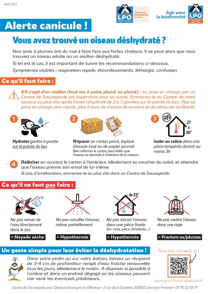 Affiche « Alerte canicule ! » - LPO