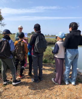 Observation des oiseaux aux Salins © Pascale Soussan