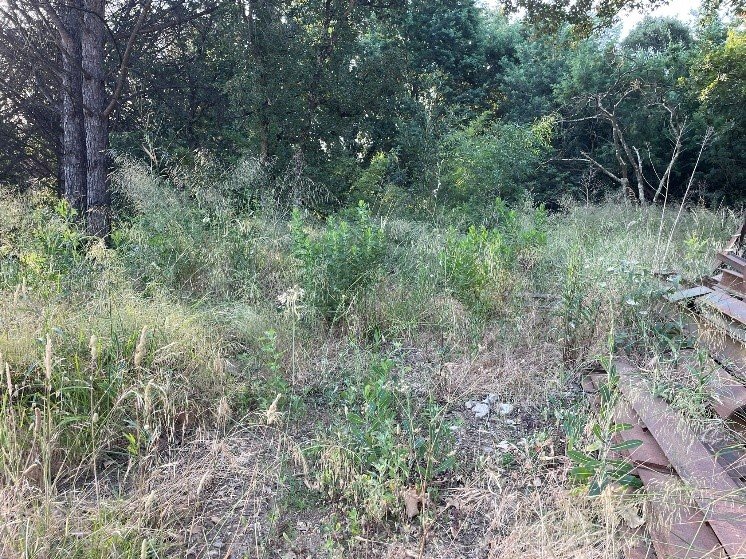 Diagnostic écologique Green Project