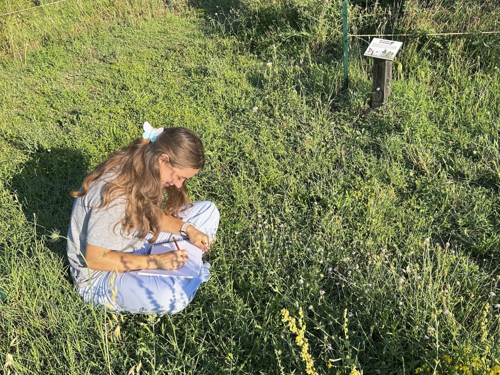Atelier d'initiation au dessin naturaliste au Jardin à papillons de l'Escarelle © LPO PACA - Emma Demeaux