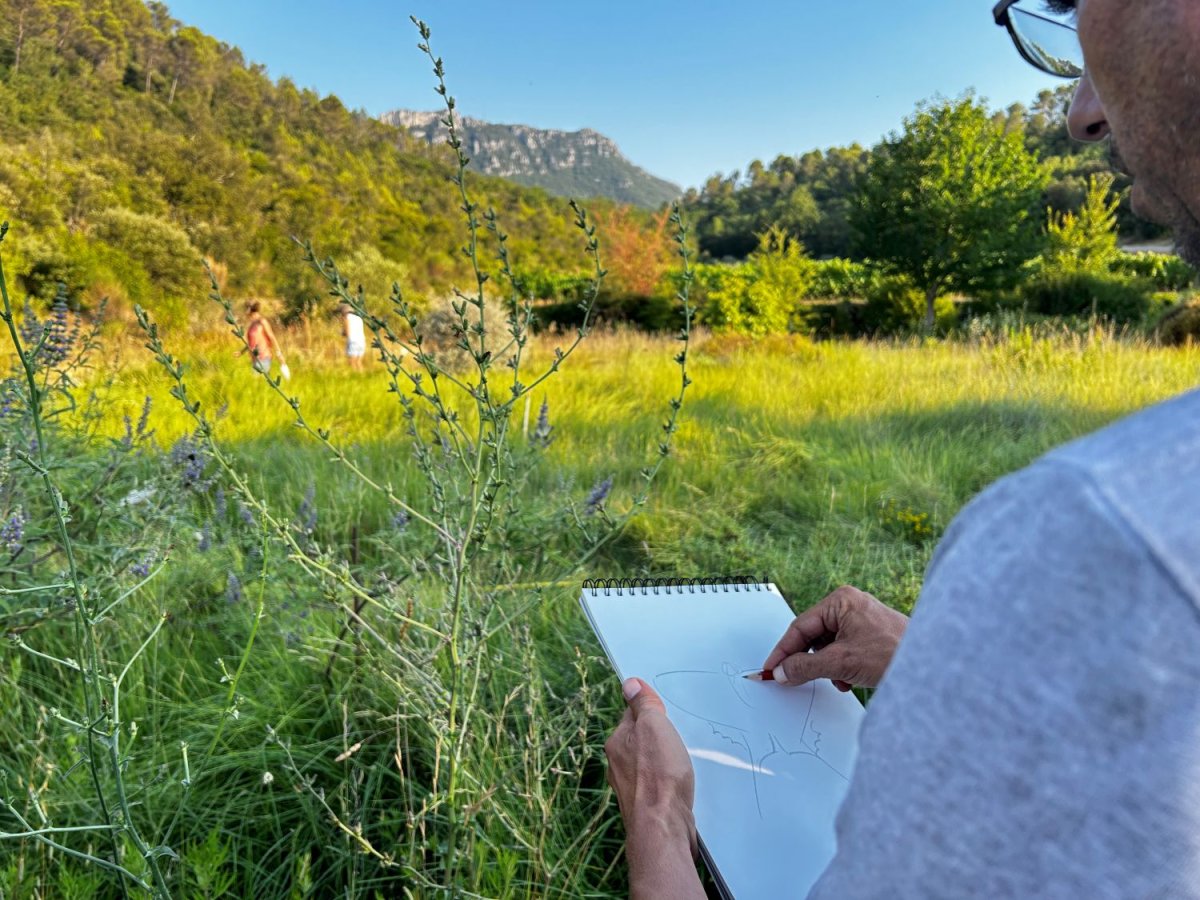 Atelier d'initiation au dessin naturaliste au Jardin à papillons de l'Escarelle © LPO PACA - Marie Boetti