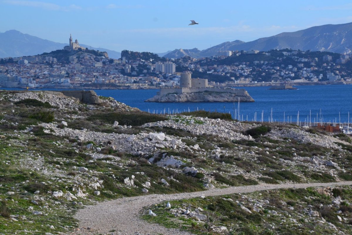 Marseille © Jeanne MENJOULET CC BY 2.0