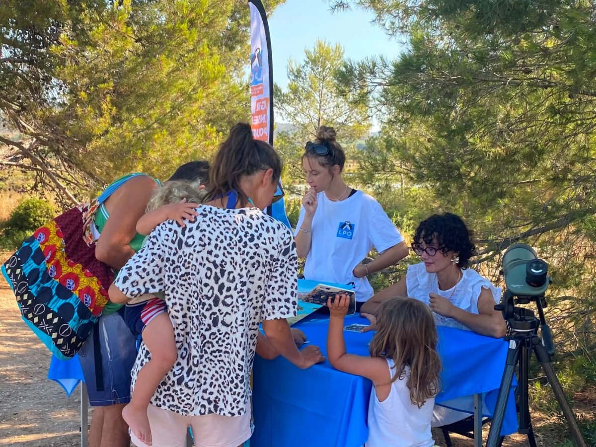 Stand sur les laro-limicoles aux Vieux Salins d'Hyères © LPO PACA