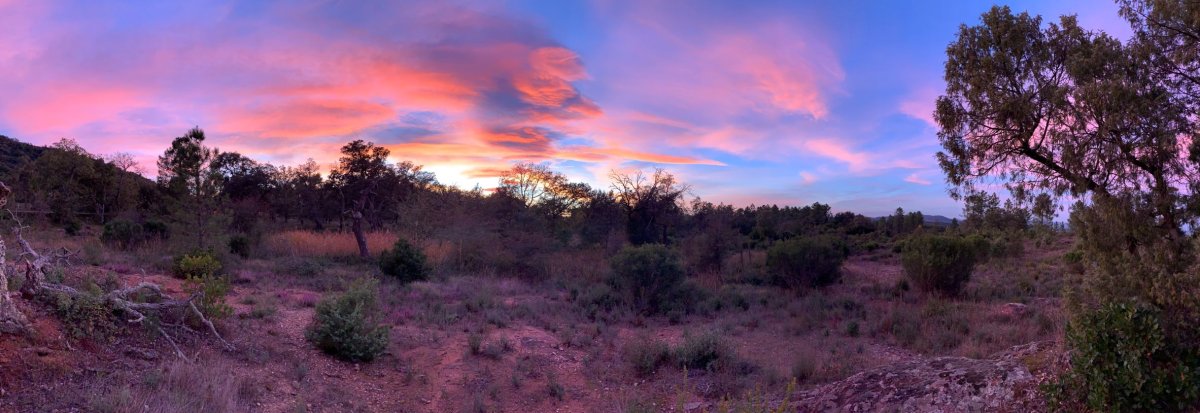Panorama de la plaine des Maures © Sarah Bagnis